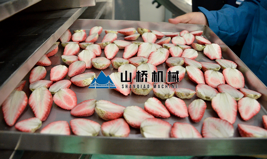 草莓真空冷冻干燥机(图1)