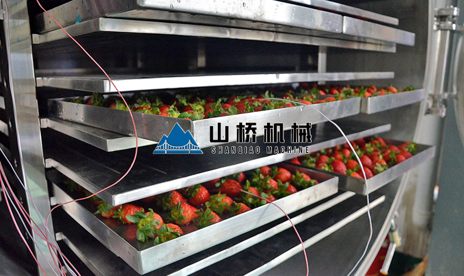 草莓真空冷冻干燥机(图2)
