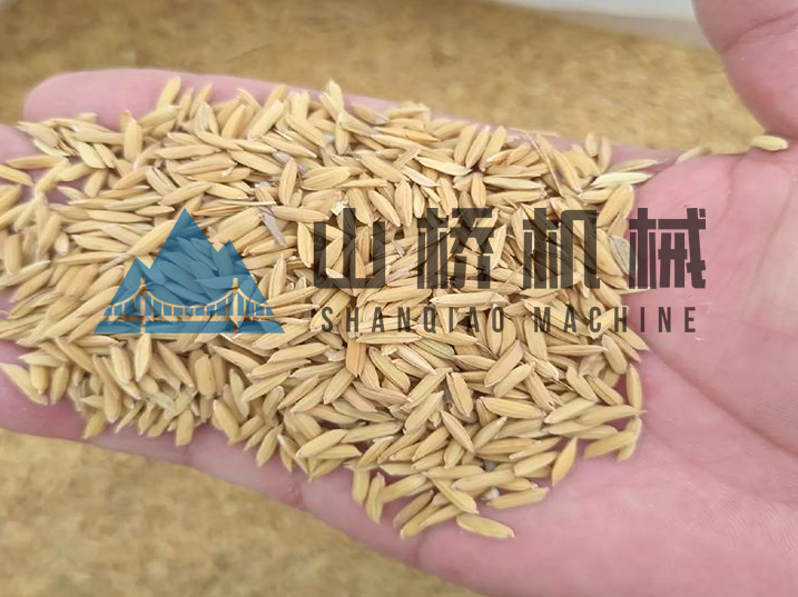 守护粮安：现代化稻谷烘干工艺解析(图1)
