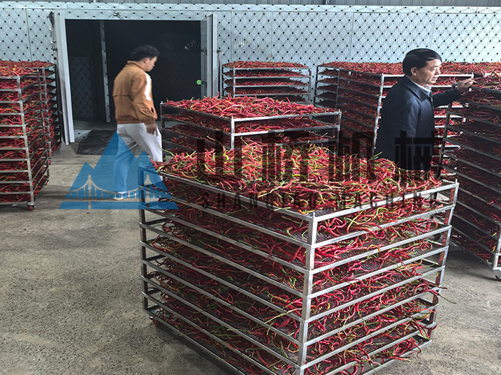 因“椒”制宜：解析不同品类辣椒的差异化烘干工艺(图1)
