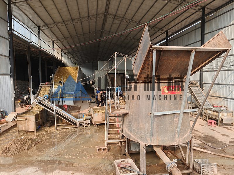 解锁姜片深加工新赛道!新一代智能烘干机赋能产业升级(图1) 解锁姜片深加工新赛道!新一代智能烘干机赋能产业升级(图1)